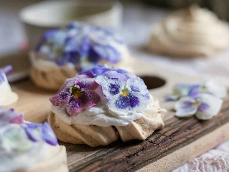 Доклад о фиалке по окружающему миру для учеников 2 класса