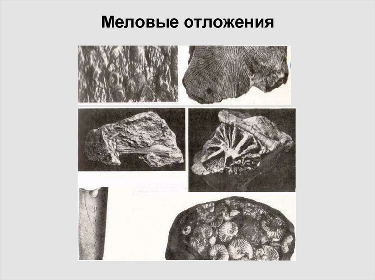 Доклад про мел &mdash; происхождение, свойства и применение