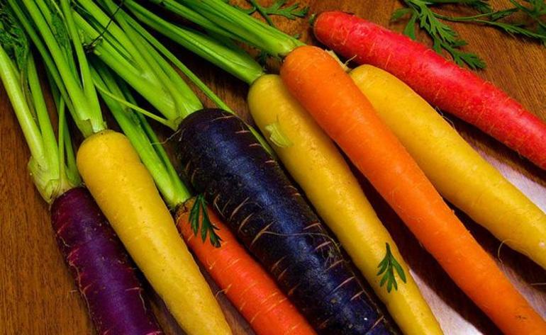 Доклад про морковь &mdash; описание, польза и вред культурного растения