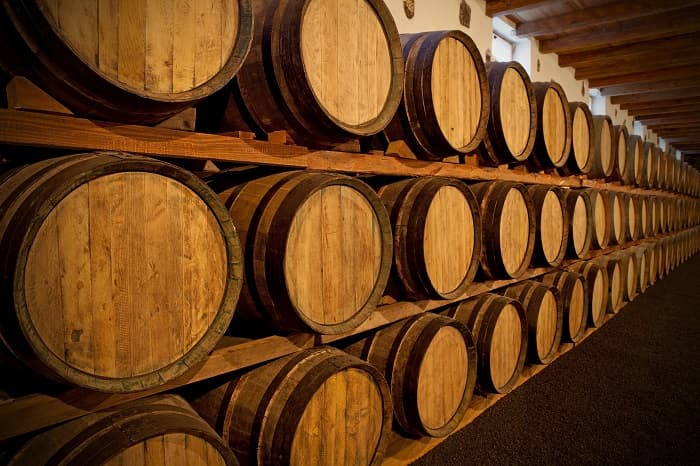 Дуб — описание, виды и характеристика для детей