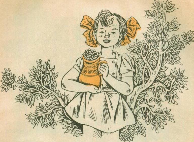 «Дудочка и кувшинчик» — краткое содержание сказки В.П. Катаева
