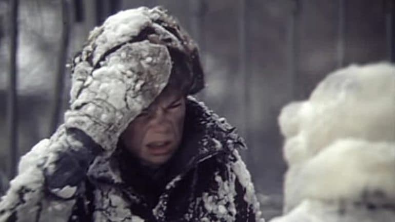 «Два капитана» — краткое содержание романа Вениамина Каверина