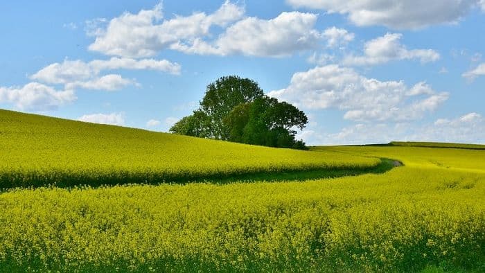 ЭГП &ndash; экономико-географическое положение в географии, расшифровка