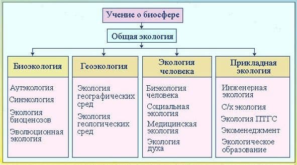 Экология — определение, виды, цели и задачи науки