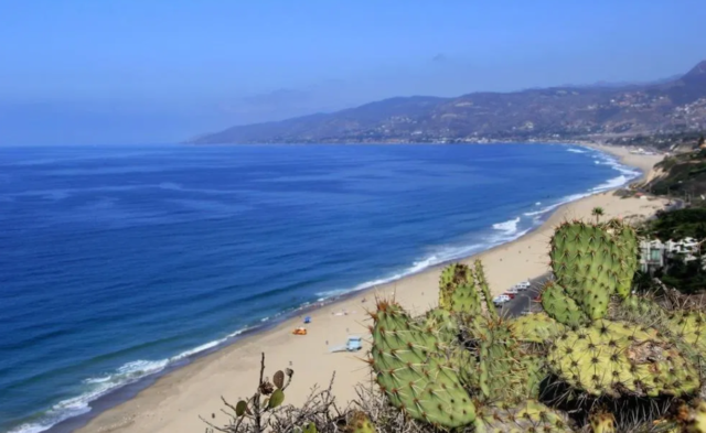 Экономико-географическое положение США – характеристики, особенности и черты кратко (11 класс, география)