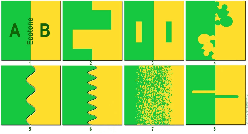 Экосистема — понятие, классификация, из каких частей состоит