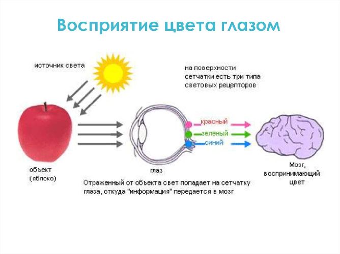 Электромагнитная природа света кратко
