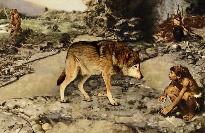 Эпоха мезолита &mdash; общая характеристика, черты и особенности развития