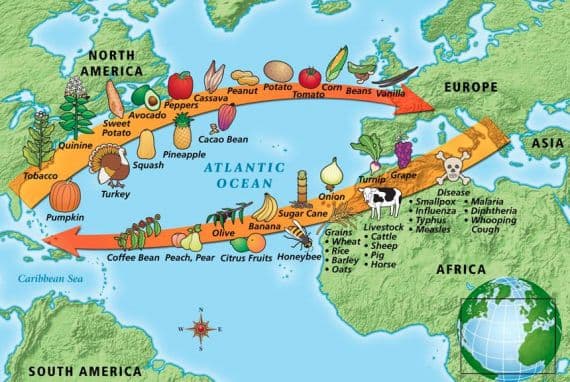 Эпоха великих географических открытий – путешественники, причины начала периода в истории