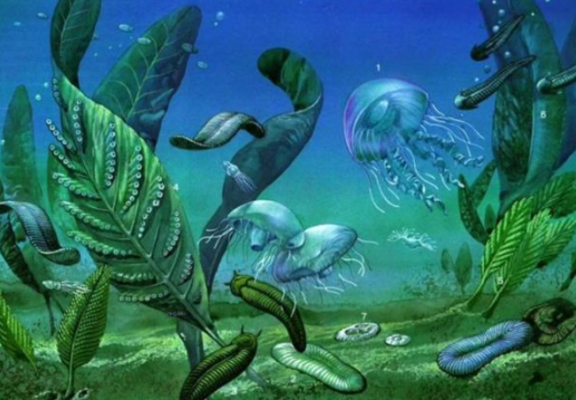 Эры и периоды &ndash; палеозой, мезозой, кайнозой в таблице, краткая хронология