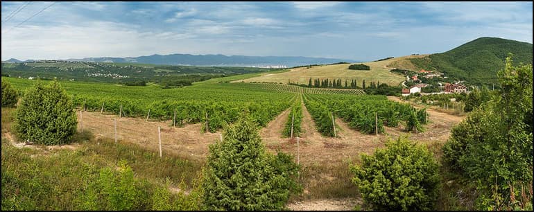 Европейский юг России — географическое положение, характеристика и особенности развития экономики