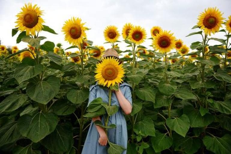 Европейский юг России — географическое положение, характеристика и особенности развития экономики