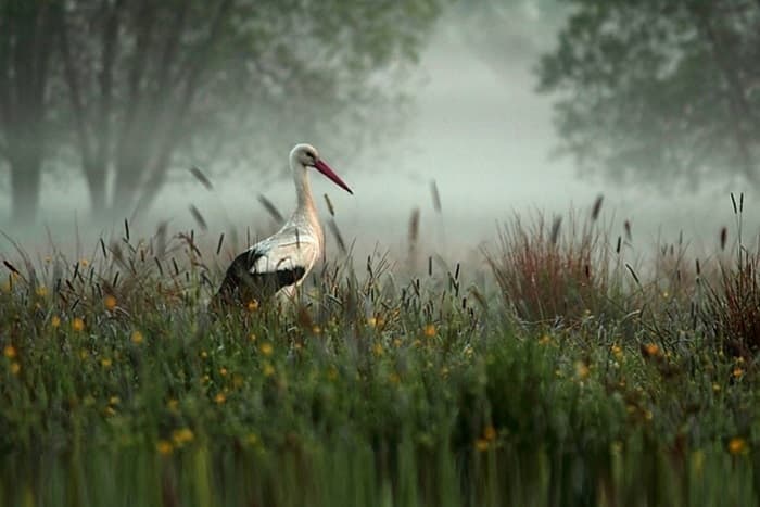 Европейский север России &mdash; географическое положение, особенности развития предприятий и промышленности