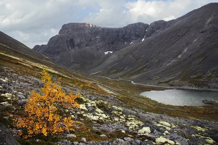 Европейский север России &mdash; географическое положение, особенности развития предприятий и промышленности