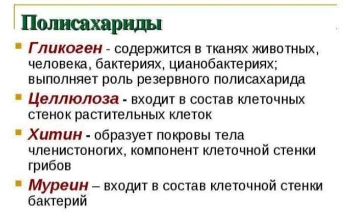 Функции углеводов – основные в организме человека и клетке в таблице