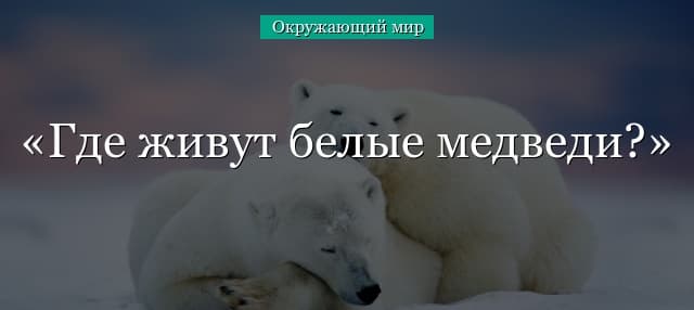 Где живут белые медведи? (1 класс, окружающий мир)