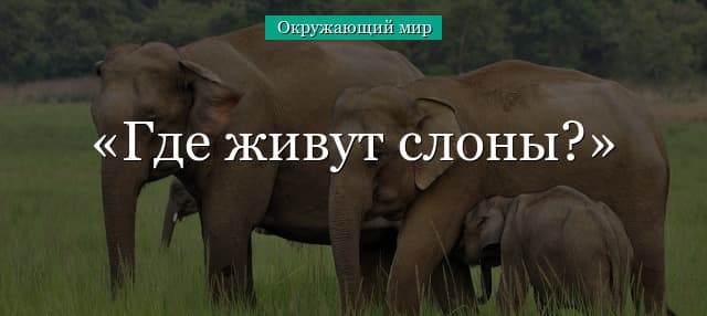 Где живут слоны? (1 класс, окружающий мир)