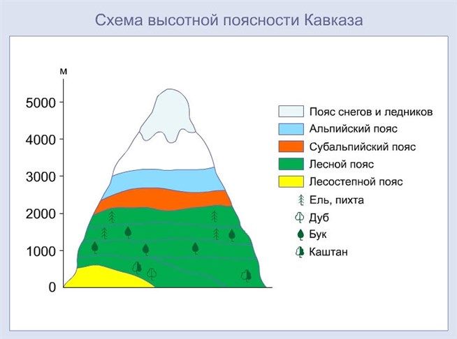 Географическое положение Северного Кавказа и влияние на климат – кратко по плану в таблице (9 класс, география)