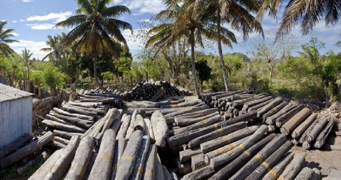 География природных ресурсов стран мира (10 класс)