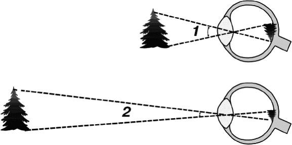 Глава 10. Волны-убийцы и волны видимости