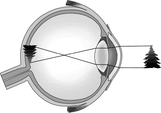 Глава 10. Волны-убийцы и волны видимости