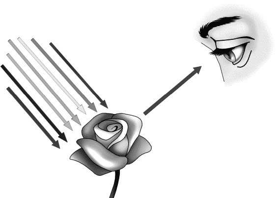 Глава 10. Волны-убийцы и волны видимости