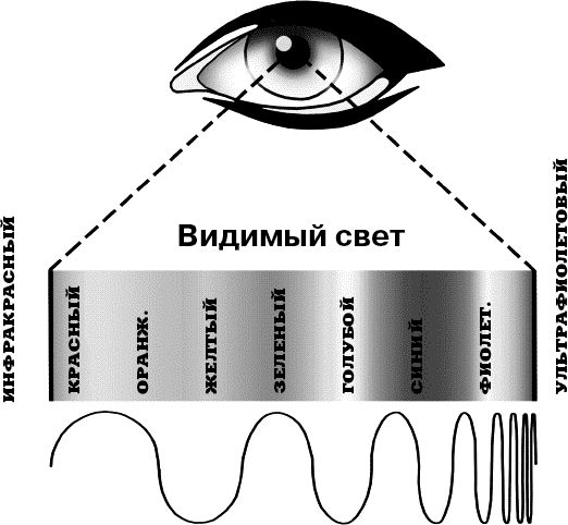 Глава 11. Другой свет