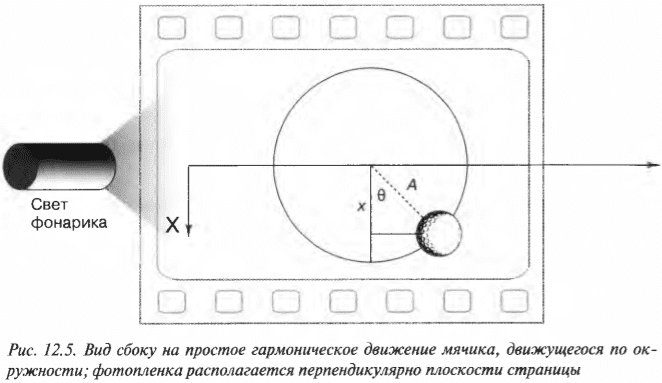 Глава 12. Сжимаем пружины: простое гармоническое движение