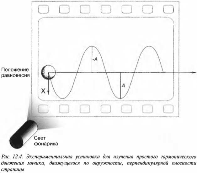 Глава 12. Сжимаем пружины: простое гармоническое движение