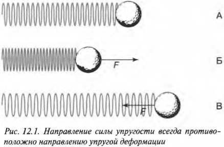 Глава 12. Сжимаем пружины: простое гармоническое движение