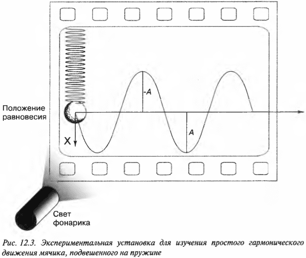 Глава 12. Сжимаем пружины: простое гармоническое движение