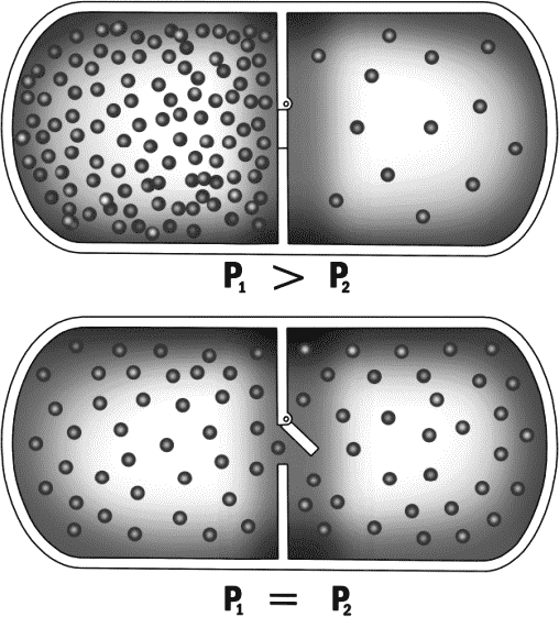 Глава 14. Откуда берется время