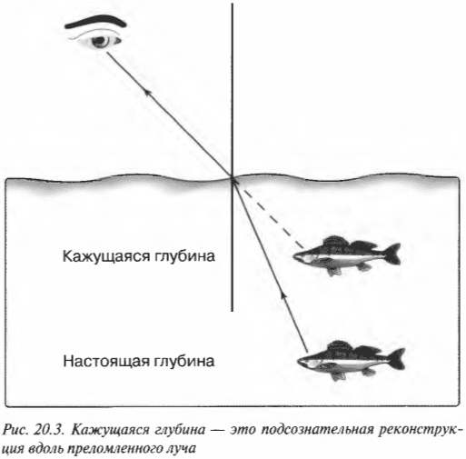 Глава 20. Немного света на зеркала и линзы