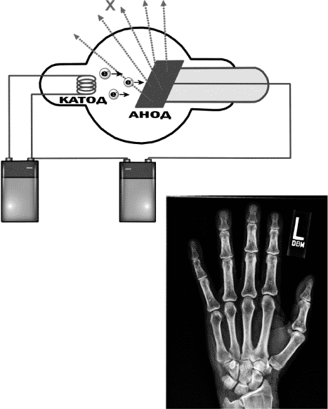Глава 6. Маша и радиоактивность