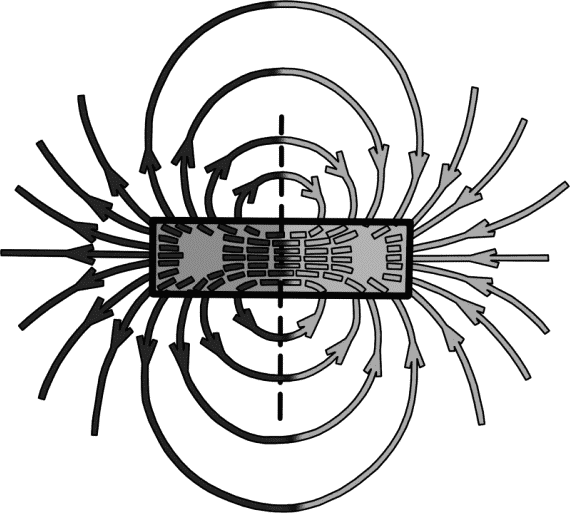 Глава 8. Поле чудес