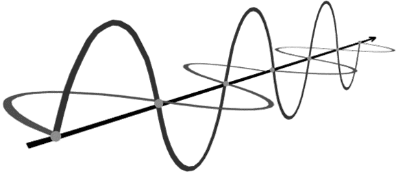 Глава 8. Поле чудес