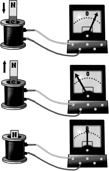 Глава 8. Поле чудес