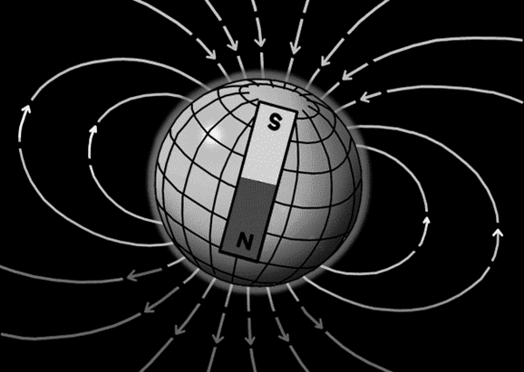 Глава 8. Поле чудес