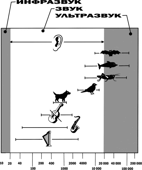 Глава 9. Сплошные волнения