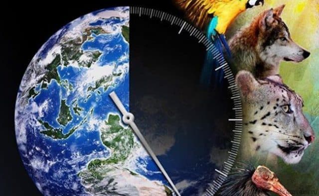 Глобальные экологические проблемы человечества &ndash; кратко для доклада