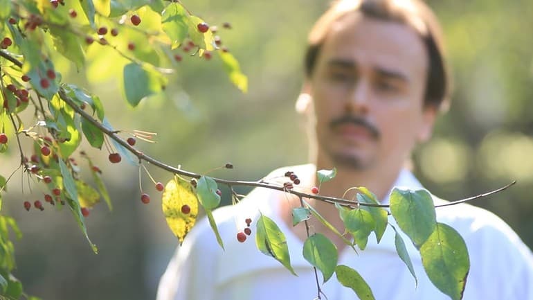 «Грамматика любви» — анализ рассказа И.А. Бунина