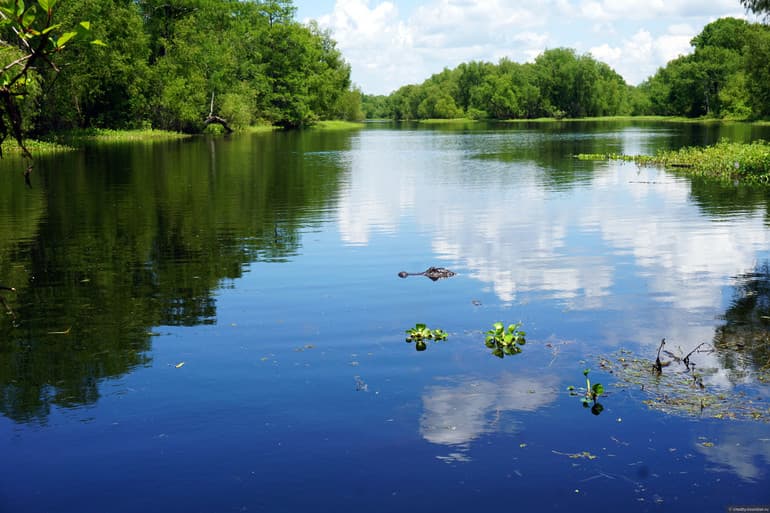 Характеристика и описание реки Нил – самой длинной реки Африки