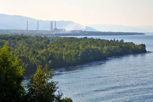 Химико-лесной комплекс &ndash; размещение, проблемы и особенности
