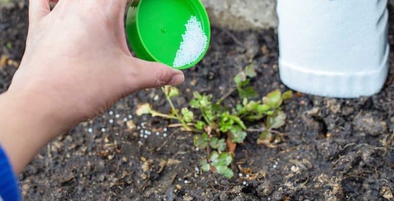 Хлорид аммония — формула, свойства и применение вещества