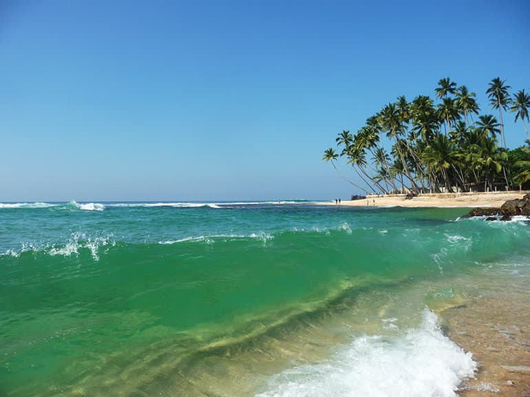 Индийский океан — географическое положение, описание и особенности самого теплого океана
