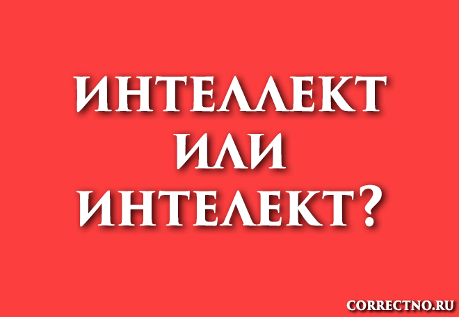 Интеллект или интелект: как правильно пишется слово?