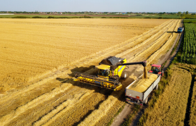 Интенсивный и экстенсивный методы ведения хозяйства – способы и примеры кратко (география)