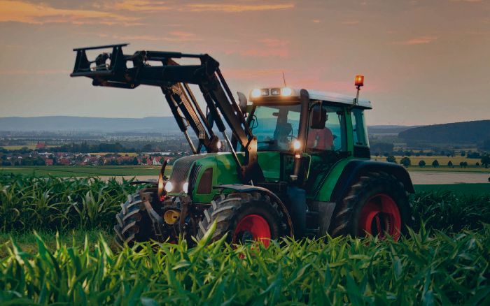 Интенсивный и экстенсивный методы ведения хозяйства – способы и примеры кратко (география)