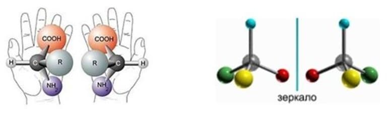 Изомерия в химии &mdash; понятие, свойства, виды и примеры изомеров органических соединений
