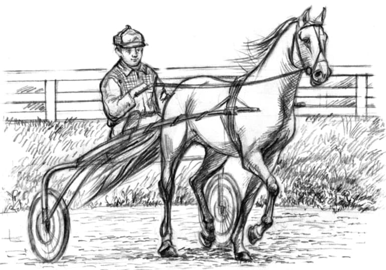 «Изумруд» — краткое содержание рассказа А.И. Куприна